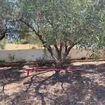 Ioanna Seafront Chalkís