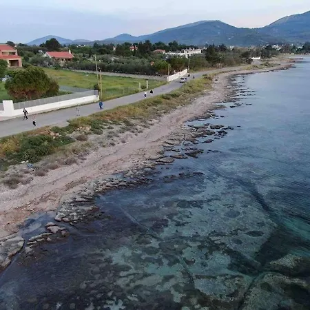 Ioanna Seafront
